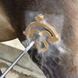 Freeze Brand - Custom made for Freeze Branding Cattle & Horse