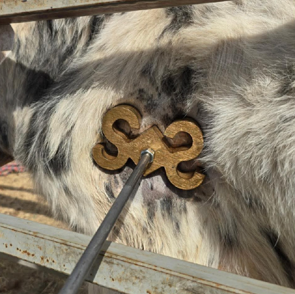 Freeze Branding Iron Number Set 0-9 for Cattle & Horse – LW CUSTOM