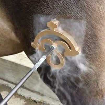 Freeze branding iron for horse